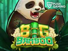 Free casino bingo65